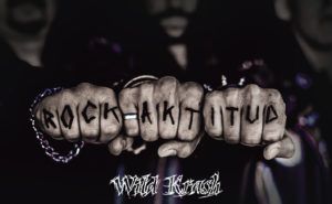 Boletin Linkmusic 15 - wild krash - Música - metal